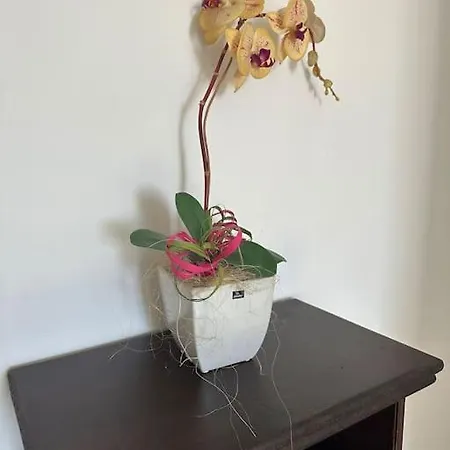 Casetta A Cavarretta Holiday home *