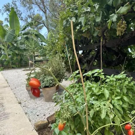 Casetta A Cavarretta Holiday home